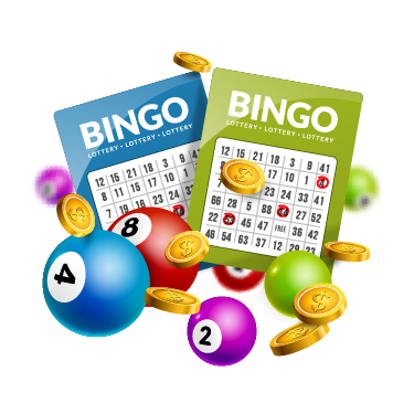 bingo 2.jpg